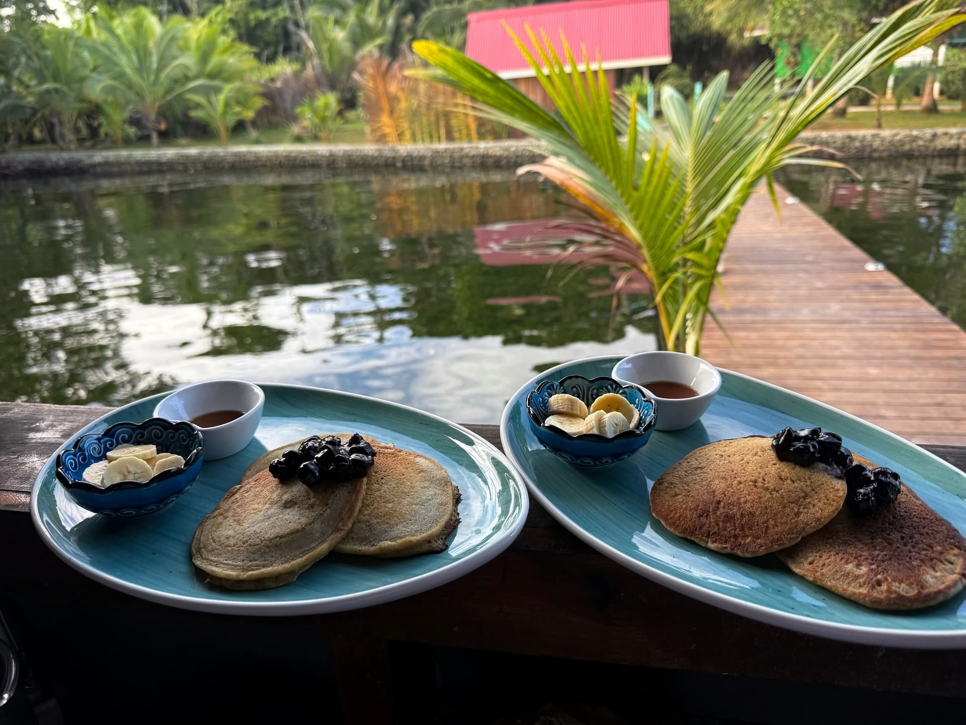 Fresh seafood and local ingredients at Blå Bar Restaurant, Dolphin Blue Paradise, Bocas del Toro