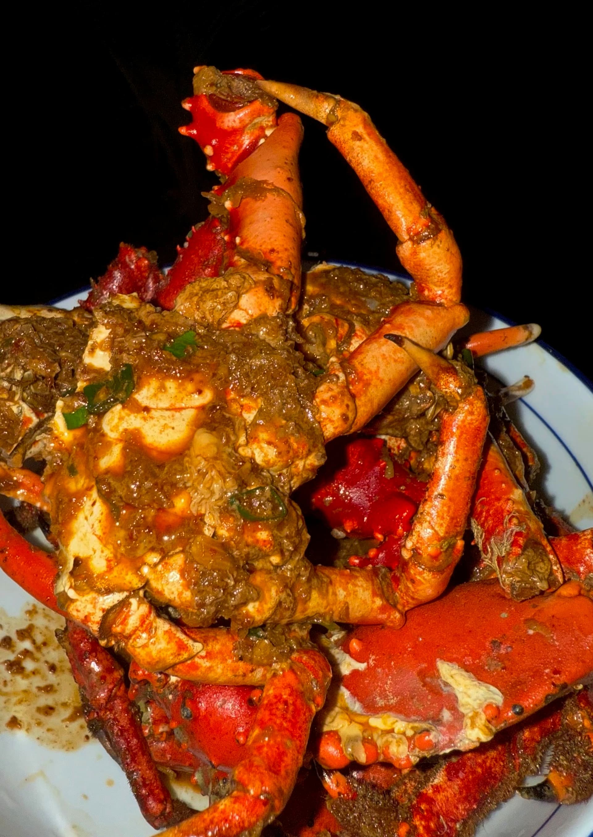 Fresh seafood and local ingredients at Blå Bar Restaurant, Dolphin Blue Paradise, Bocas del Toro