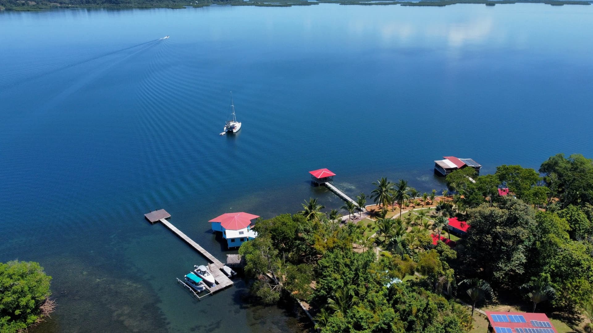 Things to Do in Bocas del Toro (From People Who Live Here)