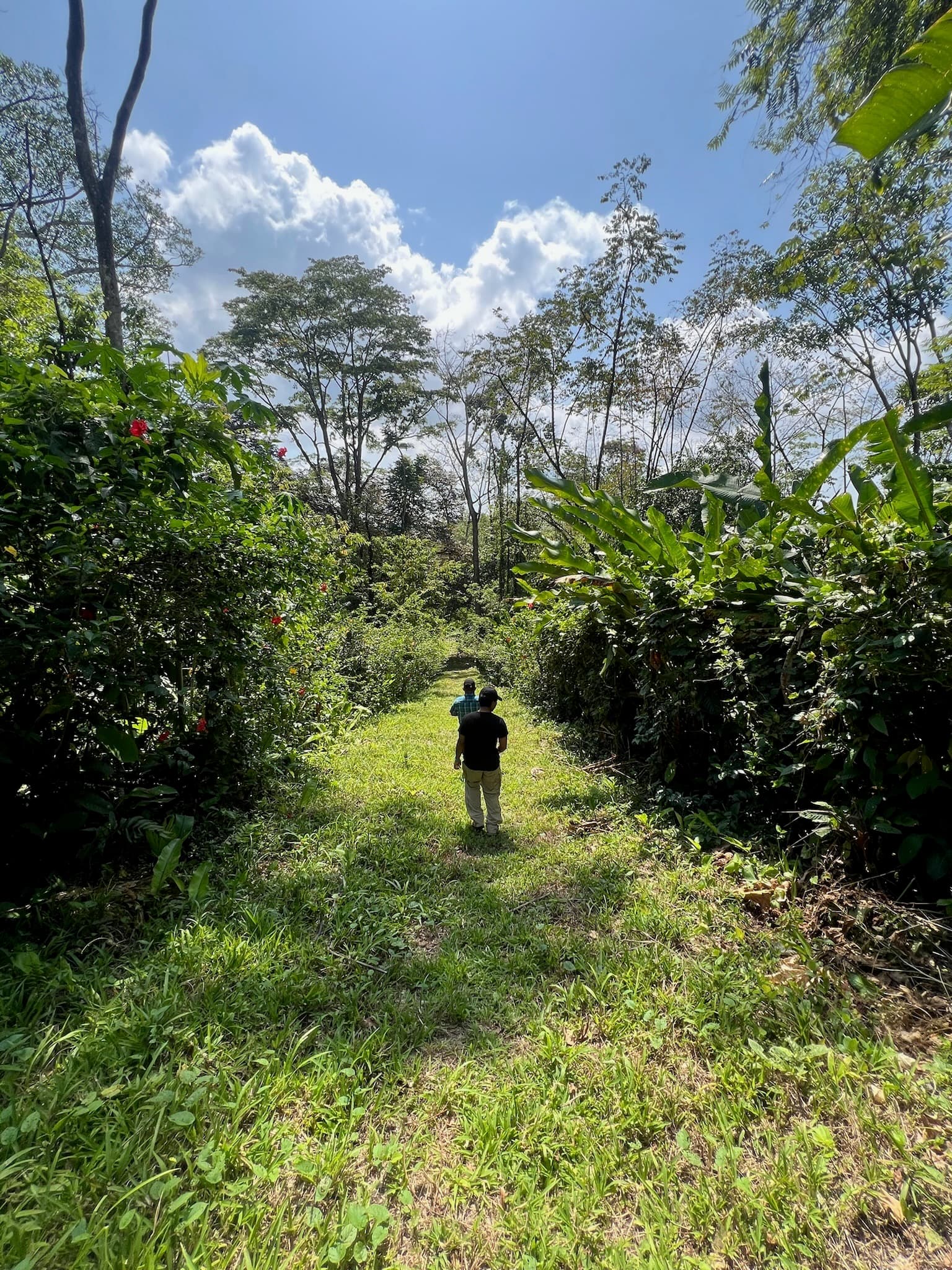 Regenerative Travel in Bocas del Toro: Beyond the Buzzword